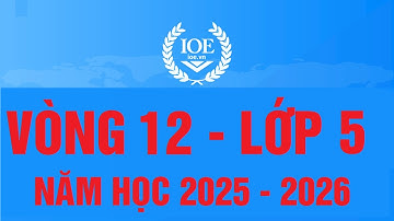 Đáp án IOE Tiếng Anh lớp 5 vòng 12 năm học 2025-2026