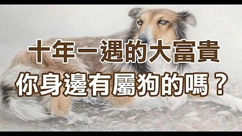 十年一遇的富貴命，你身邊有生肖狗的嗎？ 請給他們接福吧 - 天天要聞