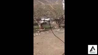 Un oso cae a un río al intentar huir de unas personas que lo apedreaban