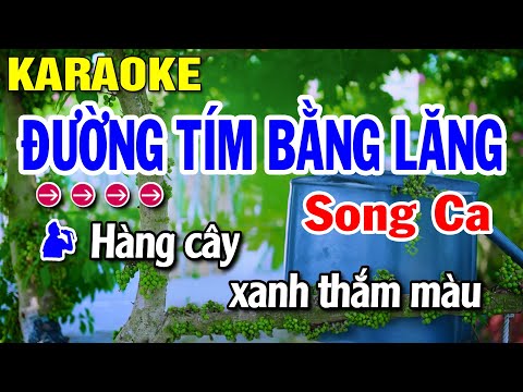 Karaoke Đường Tím