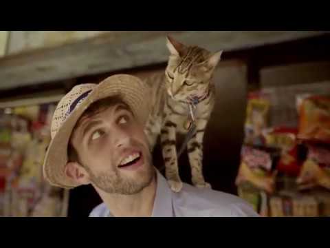 youtube影片:臺灣小鎮．綜合篇_英文版（10 mins）