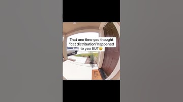 When that cat distribution system not kicking in like you thought on Thursday