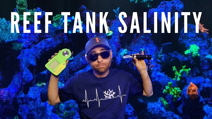 Everything Beginner Reefers Need to Know About Salinity in our reef tanks