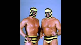 WWF Killer Bees 2nd Theme News