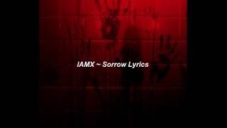 Video thumbnail of "IAMX ~ Sorrow (Lyric Video)"