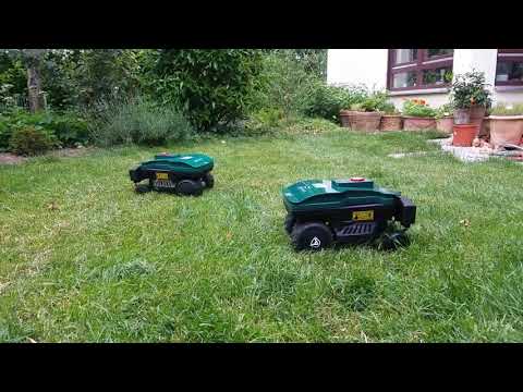 Doppelte Power im Garten! 2× Ambrogio L15 Deluxe beim Mähen