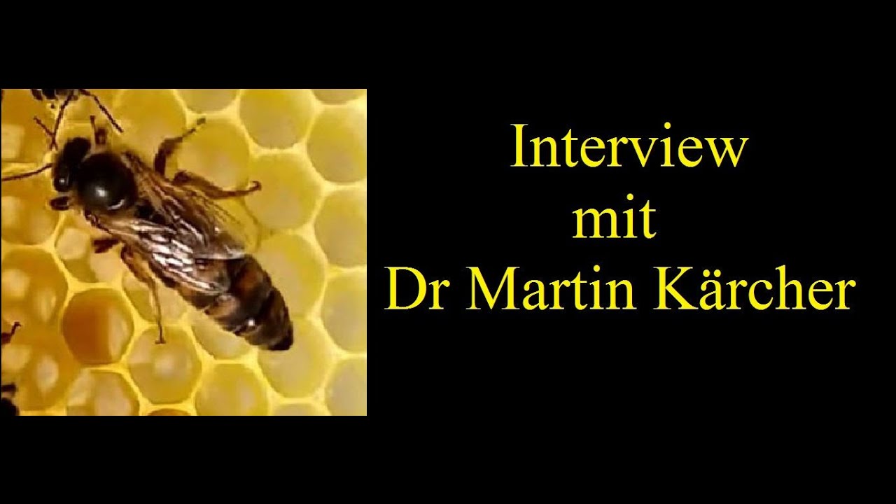 Bienen Zucht und CBPV (Chronisches Bienen Paralyse Virus) - Interview mit Dr Martin Kärcher