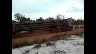 Trucking of Logs in Suriname.