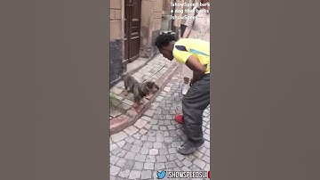 IshowSpeed ​​barks at a dog that barks on IshowSpeed