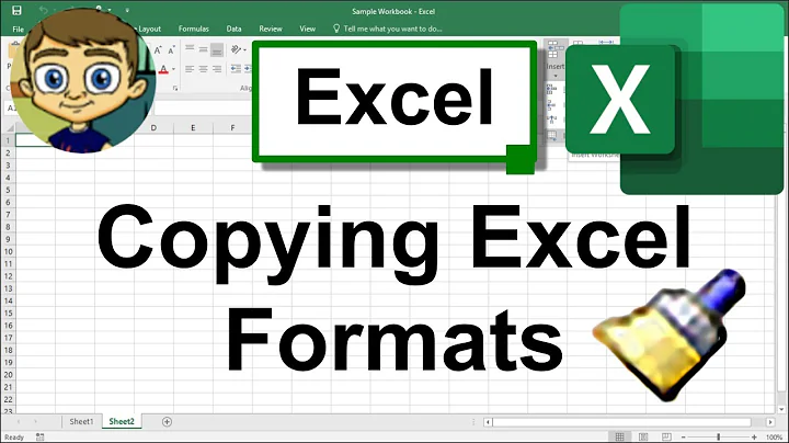 Copying Excel Formats: Format Painter & More