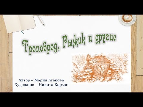 Буктрейлер по книге М. Агаповой "Тропоброд, Рыжик и другие"