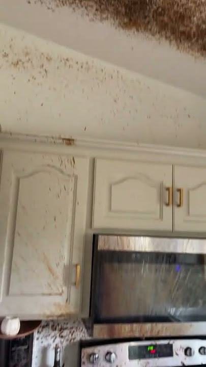 Attempt to Make Caramel Ends in Kitchen Disaster || ViralHog