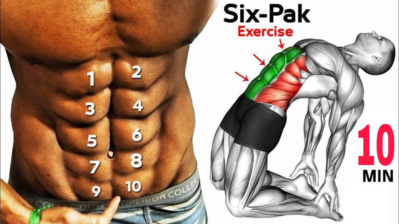 10 MIN PERFECT ABS WORKOUT (NO EQUIPMENT BODYWEIGHT WORKOUT!) - YouTube