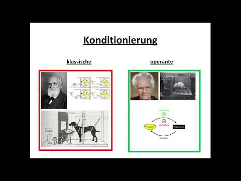 Klassische und operante Konditionierung erklärt!