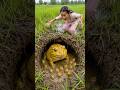 The guy show AMAZING Smart and Useful in Forest #bushcraft #survival #Outdoors #skills #frogtrap