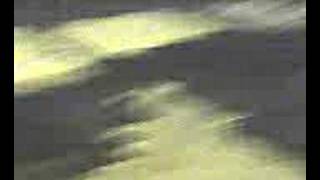 Lungomare Catania Colpiti Dalle Onde