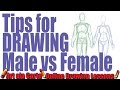 Tips for Drawing Males VS  Female Figures