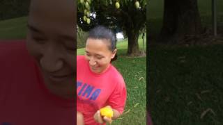 Chupando Manga No Pé E Muito Melhor