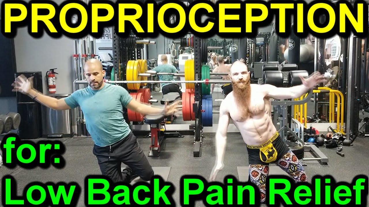 PROPRIOCEPTION EXERCISES for LOW BACK PAIN RELIEF from ELDOA Method ...