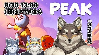 【PEAKコラボ】解散フレンズのビジネス登山【Vtuber/荒塚オガミ/雹衛ハガル/麺虎カンスイ】