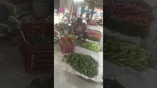 karela khane ka fayda #food #baffalo #business #funny #vlog #farming #nature #cow #comedy