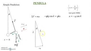 AP PHY 1   SHM and the Pendulum