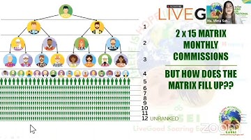 What is a matrix commission in livegood🌏🌱🎢