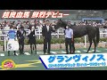 【鮮烈デビュー】超良血馬 グランヴィノス(牡2)【うまDOKI】