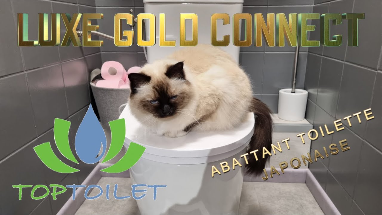 Toptoilet Luxe Gold Connect , Abattant WC Japonais Lavant Séchant: Revue ,Installation Démo