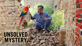 🕵️ The Mysterious Disappearance of Indus Valley Civilization 🔍 A Lost Empire 🏛️