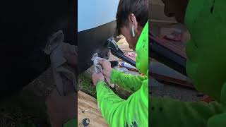 Replacing leaky boat drain plug. RetrieverCharter.com #boating #boatmaintenance #boatlife #fishing