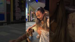 Rescue puppies from the streets? 🥹🐶