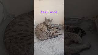 Catii . Friend Viral