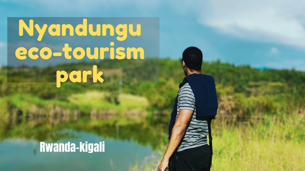 Luna Park Working Hours Today