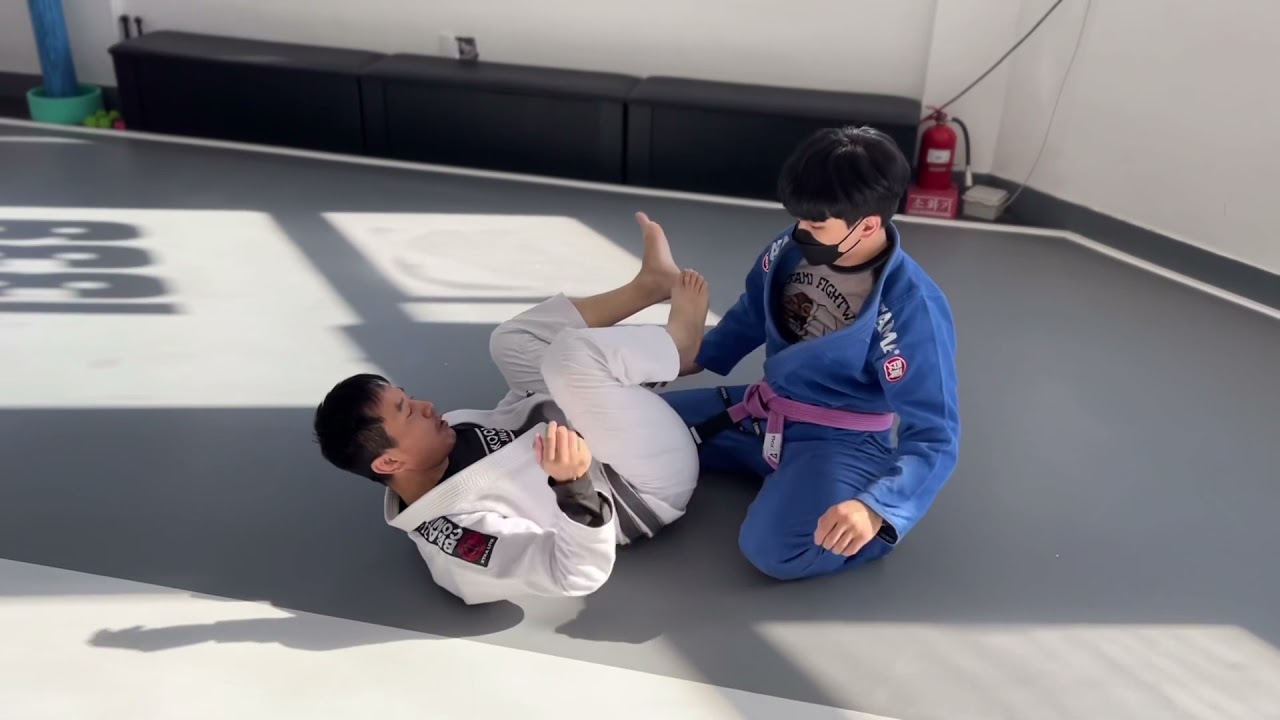 주짓수 터틀 포지션에서 가드 리커버리