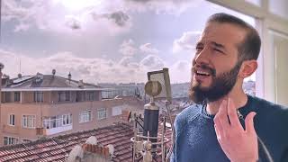 Bakr Sairafi - Hoby El Anany Cover - بكر صيرفي - حبي الأناني