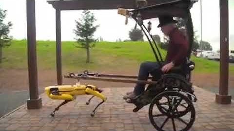 Adam Savage in the rickshaw pulled by robot || terminator movie was a documentary??