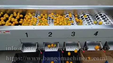 Orange Grading Machine
