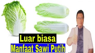7 Manfaat Sayur Sawi Putih Untuk Kesehatan Tubuh Kita