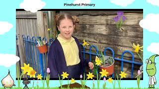 Bylbcast 2026 | Bulbcast 2026: Spring Bulbs for Schools Competition