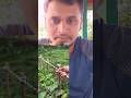 দড়ি ব্যবহার করার সঠিক পদ্ধতি ❤️✅ #reels #camping #hack #tipsandtricks #rope