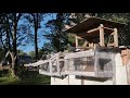 Building The Family : Loft Update -  Roller Pigeon