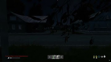 Beginner meets player for the first time in DayZ