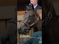 Hip 156 - $1.5 Million