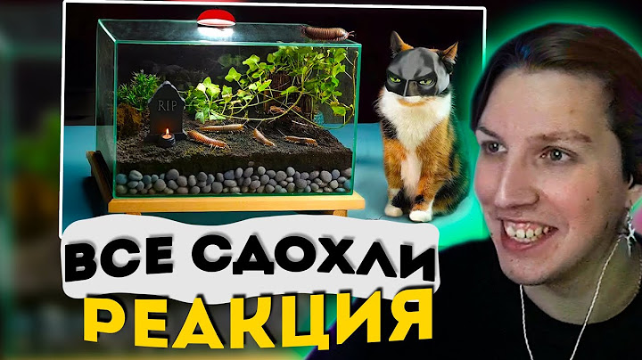 МАЗЕЛОВ СМОТРИТ - 900 ДНЕЙ БЕЗ ЕДЫ - ЭКОСИСТЕМА В ЗАКРЫТОМ ТЕРРАРИУМЕ I ПОСЛЕДНЕЕ ВИДЕО