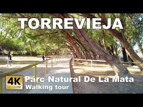 Torrevieja - Parc