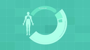 Hybrid life support system Photobioreactor (PBR) on the ISS