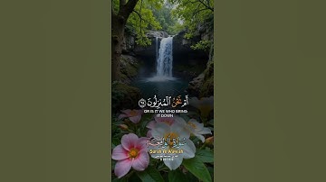 سورة الواقعة #المصحف #الكريم #اكسبلور #راحة_نفسية #الرحمن