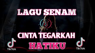Download lagu CINTA TEGARKAN HATIKU DJ // LAGU SENAM || TIK TOK VIRAL