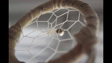 Metaphors we live by